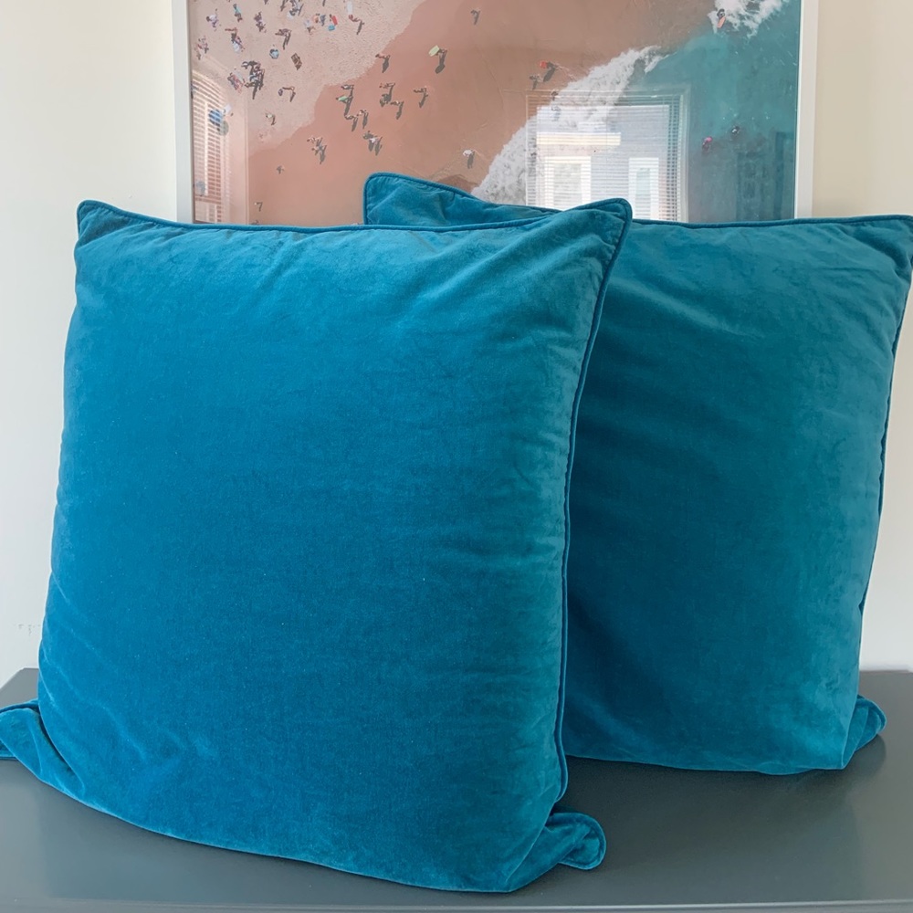Pair of velvet euro shams